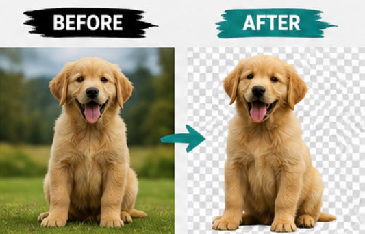 Background Removal Service